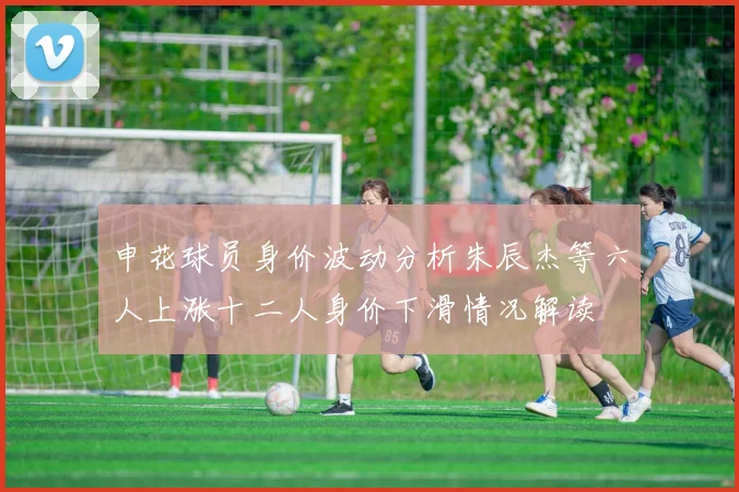 申花球员身价波动分析朱辰杰等六人上涨十二人身价下滑情况解读