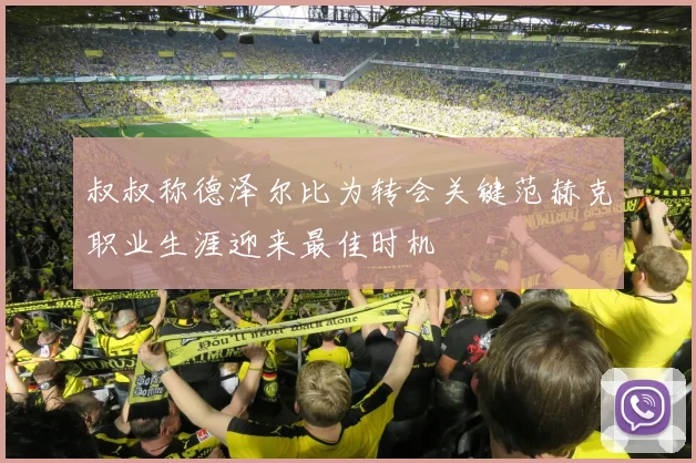 叔叔称德泽尔比为转会关键范赫克职业生涯迎来最佳时机