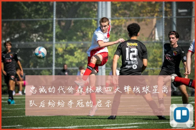 忠诚的代价森林狼四大锋线球星离队后纷纷夺冠的启示