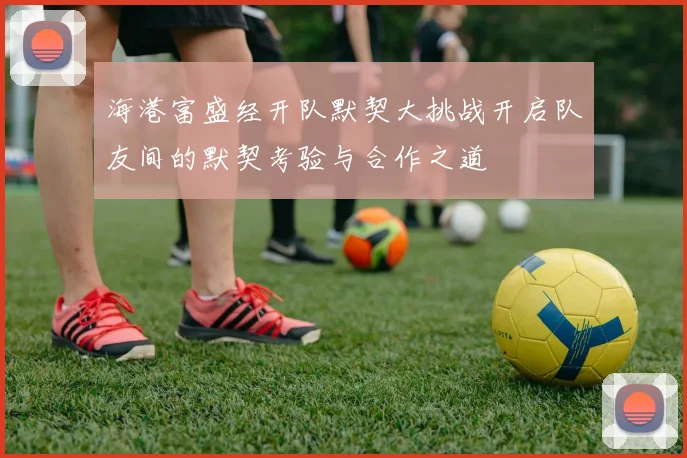 海港富盛经开队默契大挑战开启队友间的默契考验与合作之道